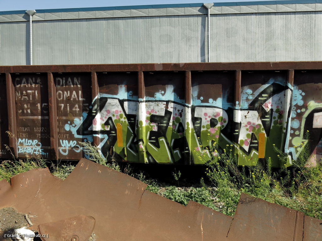 1407_KanadaTrains_107