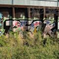 1407_KanadaTrains_108