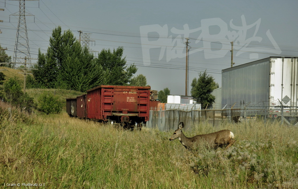 1407_KanadaTrains_117