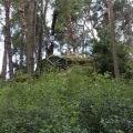 140814_Wonderland2014_32