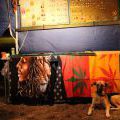 140814_Wonderland2014_68