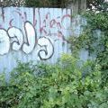 140927_Celakovice_17