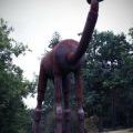 141005_SuskaRais_10