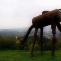141005_SuskaRais_11
