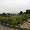 141005_SuskaRais_37