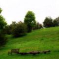 141005_SuskaRais_42