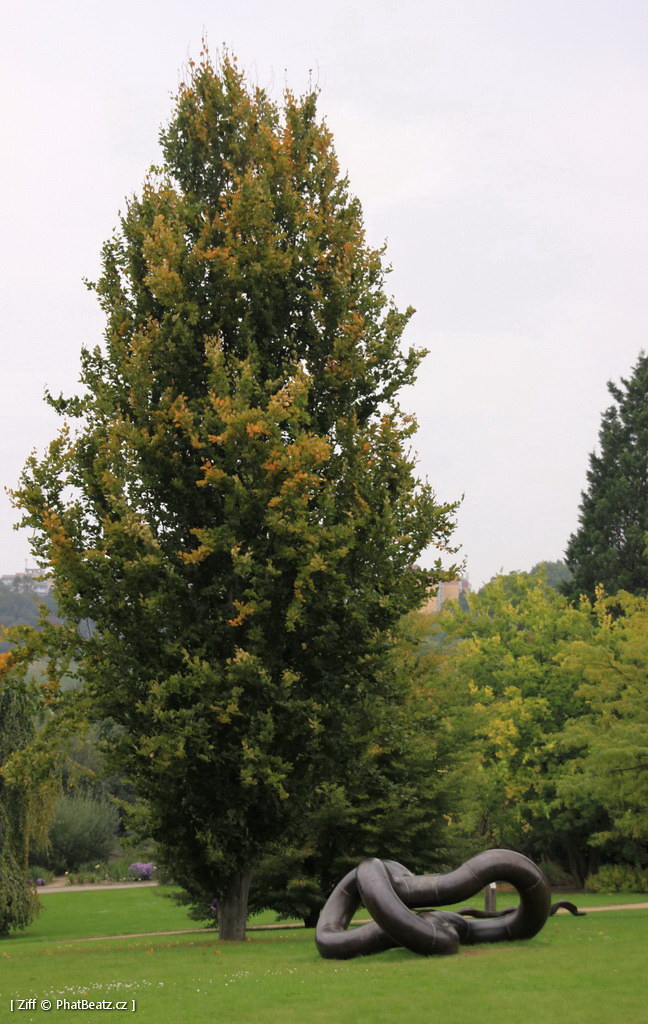 141005_SuskaRais_47