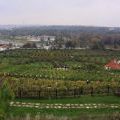 141005_SuskaRais_49