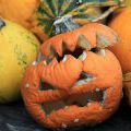 141005_SuskaRais_55