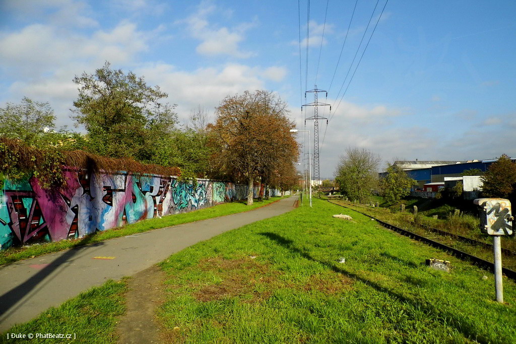 141104_Krenka_01