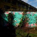 141104_Krenka_40