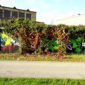 141104_Krenka_50
