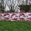 141115_Trebic_03