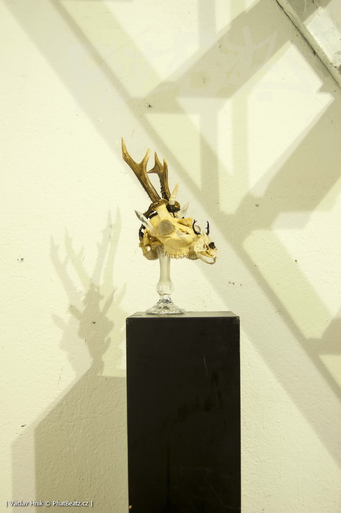 141205_8PLBPRDLKSM_010