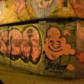 150121-25_IrskoGraff_04