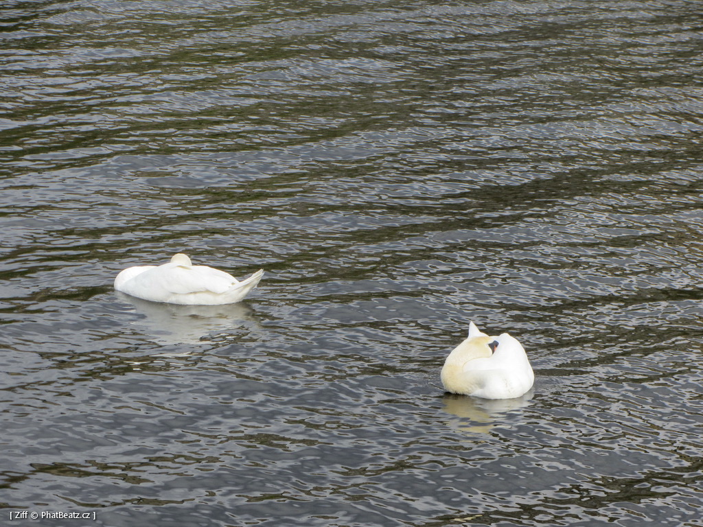 150418_Barrandov_44