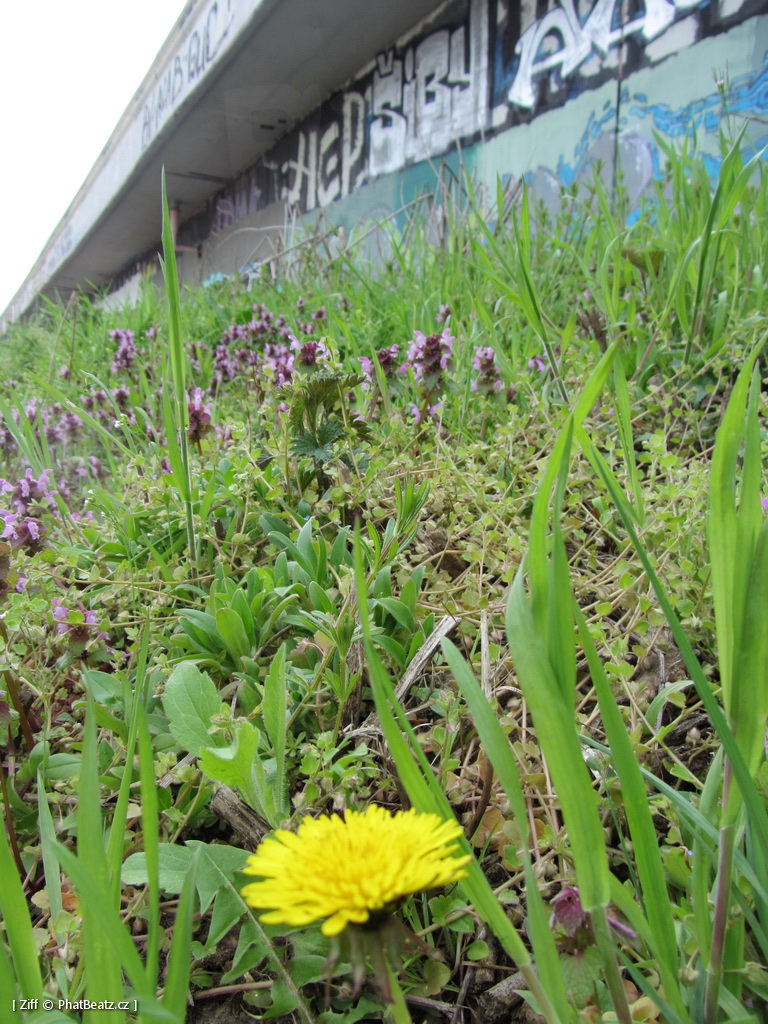 150418_Barrandov_71