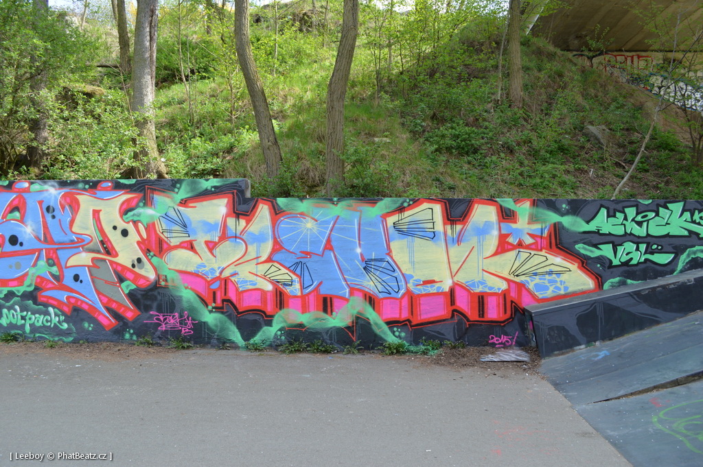 150425_TrebicSK8_04