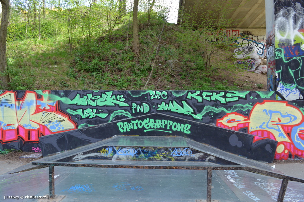 150425_TrebicSK8_05