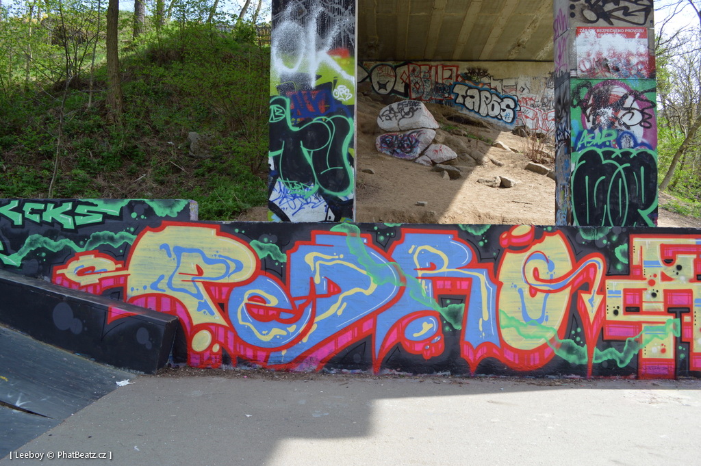 150425_TrebicSK8_06