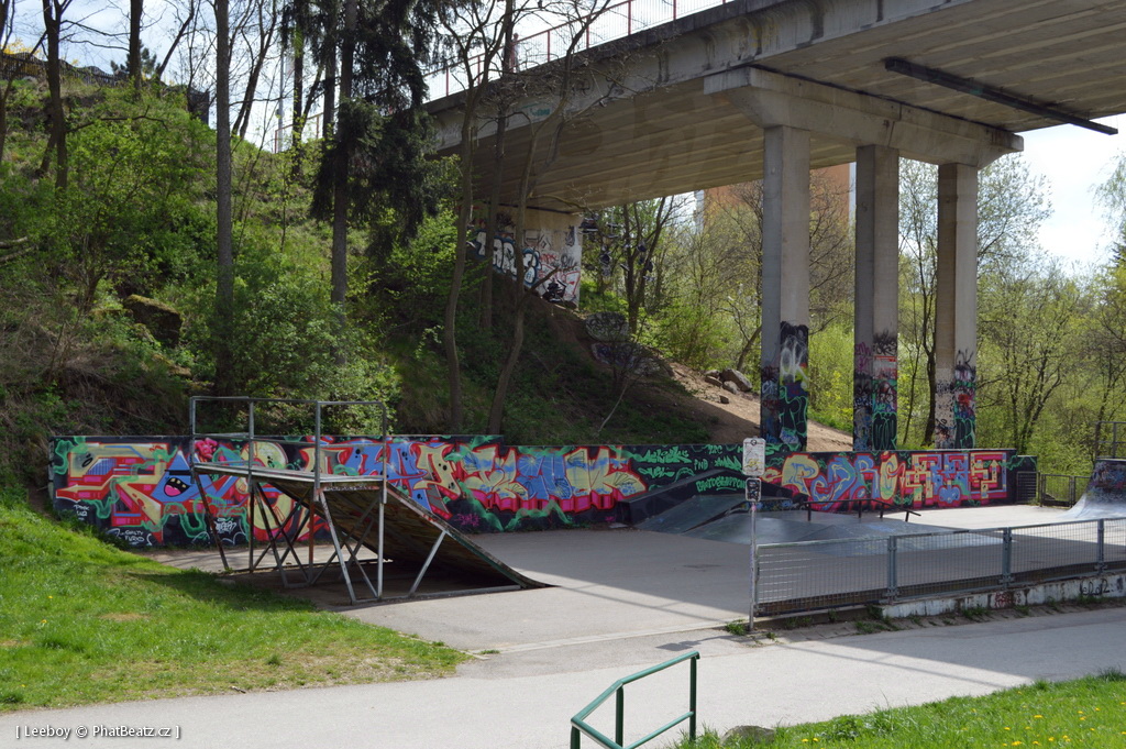 150425_TrebicSK8_08