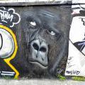 150530_Tesnov_06