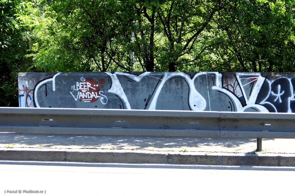150604_Pobrezni_28