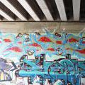 150613_Turnov_14