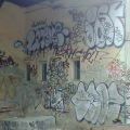 1506_Brno_trat_01