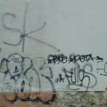 1506_Brno_trat_08