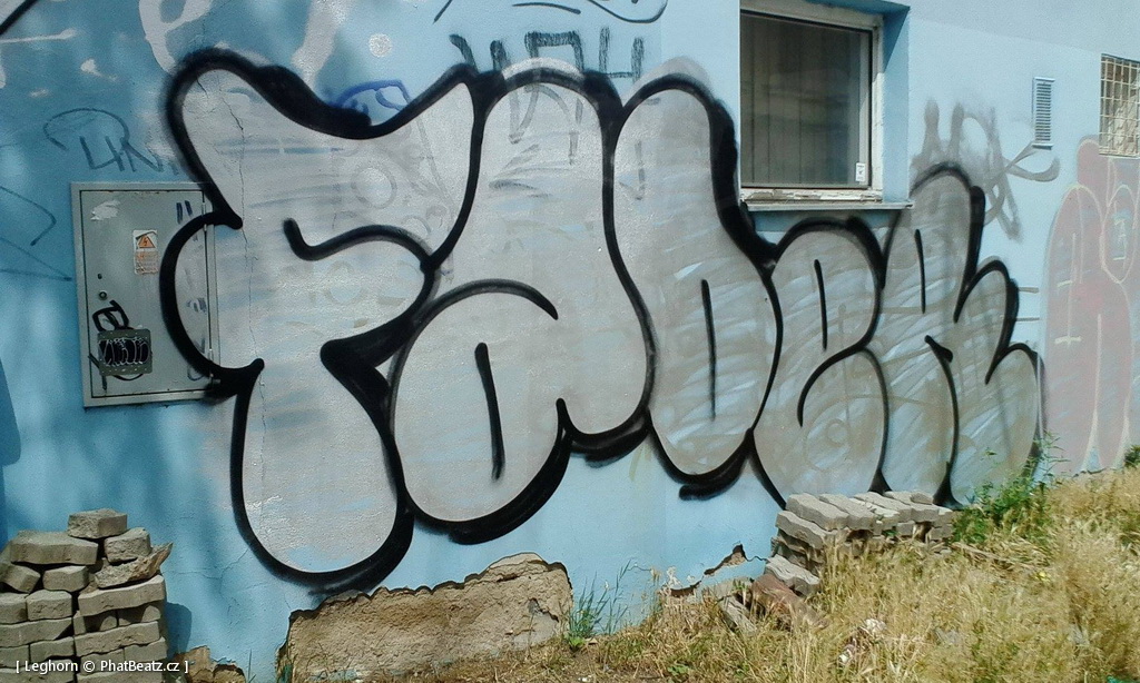 1506_Brno_trat_13