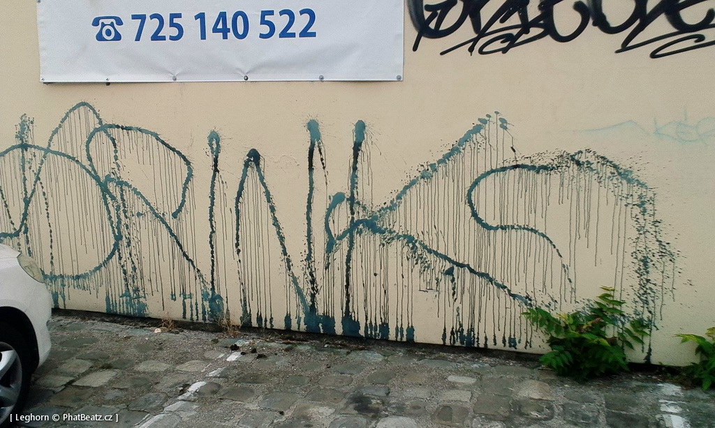 1506_Brno_trat_20