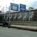 1506_Brno_trat_25