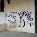 1506_Brno_trat_27