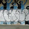 1506_Brno_trat_28