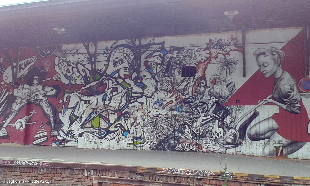 1506_Brno_trat_31