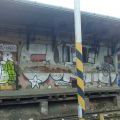 1506_Brno_trat_37