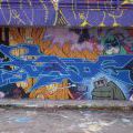150725_Tesnov_11