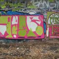 150725_Tesnov_16