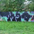 150923_TrebicPBS_03