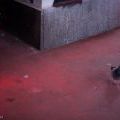 151031_Artwise_Smichov_26