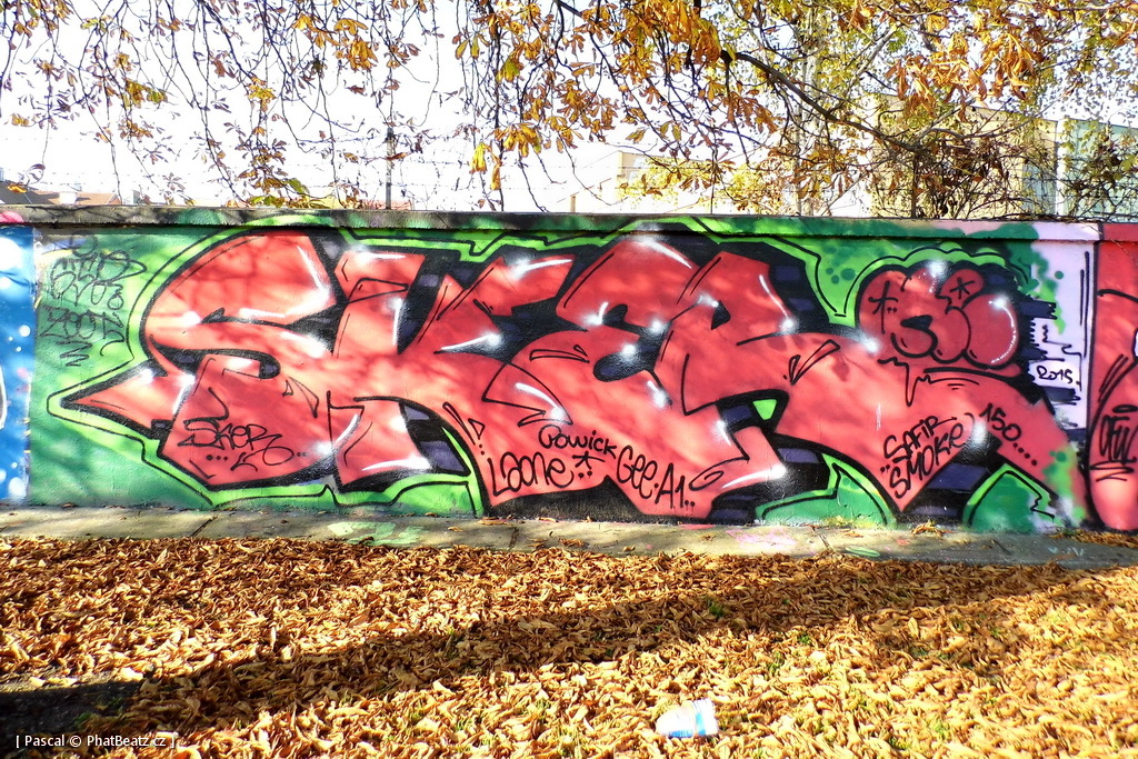 151103_Smeral_10
