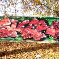 151103_Smeral_10
