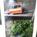 151107_UrbanExploring_93