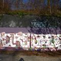 151111_Curych_legal_27