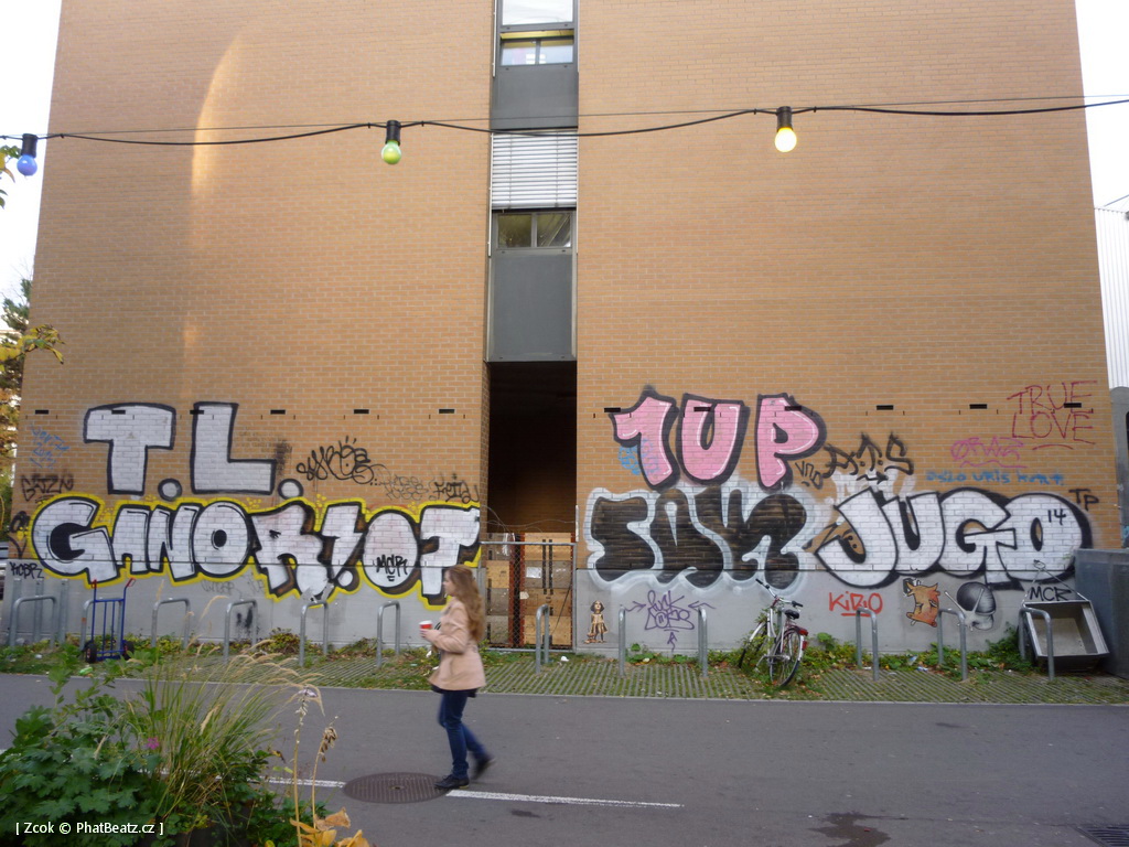 151111_Curych_street_04