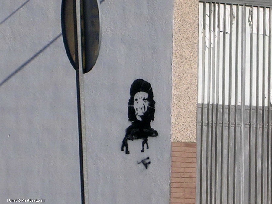15_Tenerife