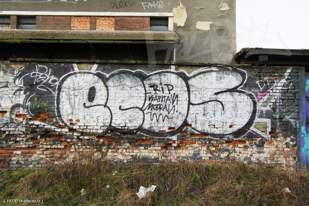 160220_Melnik_44