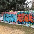 160305_Prosek_39