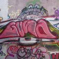 160327_Kolin_35
